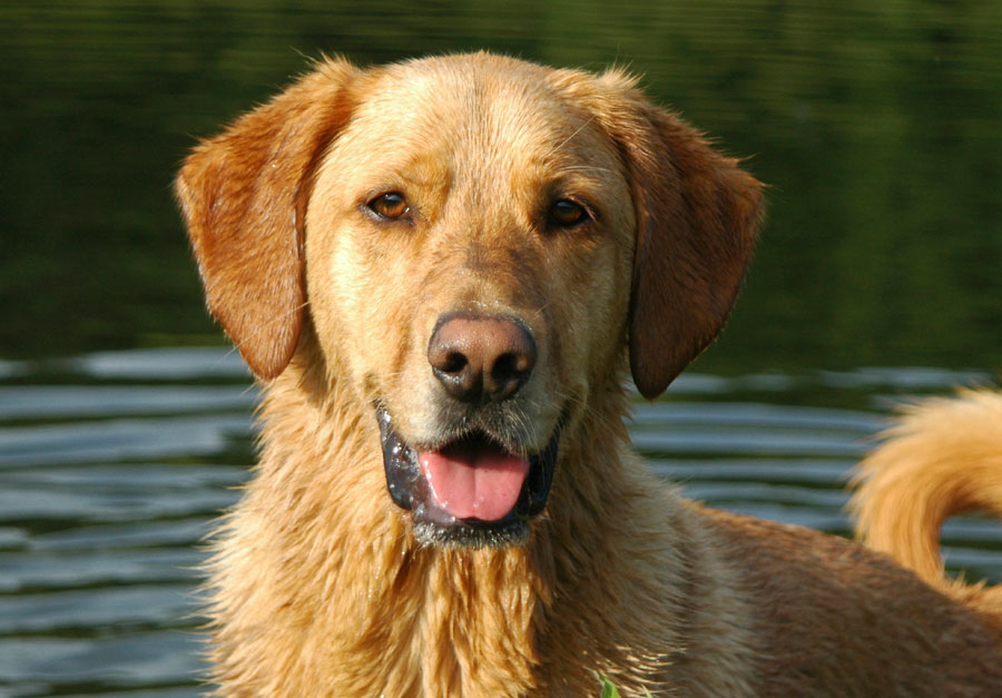 Umfassende Betreuung