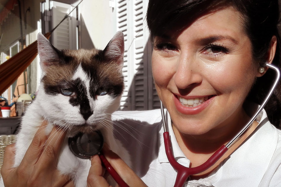 Ich helfe Ihrem Tier vor Ort -  Telefon: (+34) 634 63 12 82